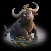 Water Buffalo/水牛(4999Coins)
