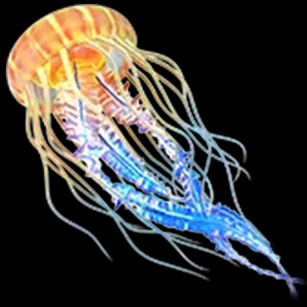 Glowing Jellyfish(1000Coins)
