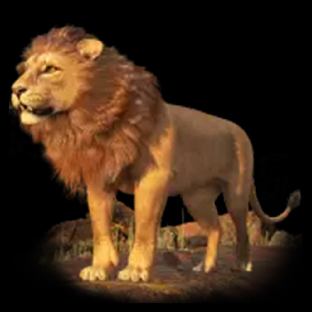 Lion(29999coins)
