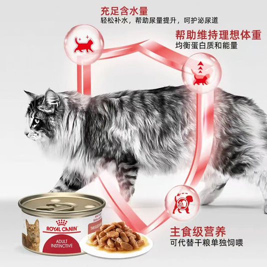 Cat food-02