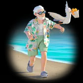 Seagull Showdown/海鸥对决（10000Coins)