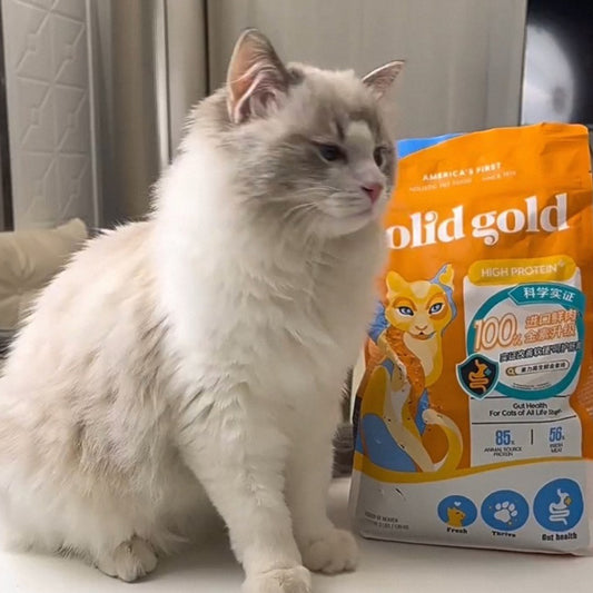 3kg Cat Food