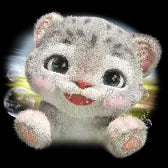 Lili the Leonpard/花豹lili（6599Coins)