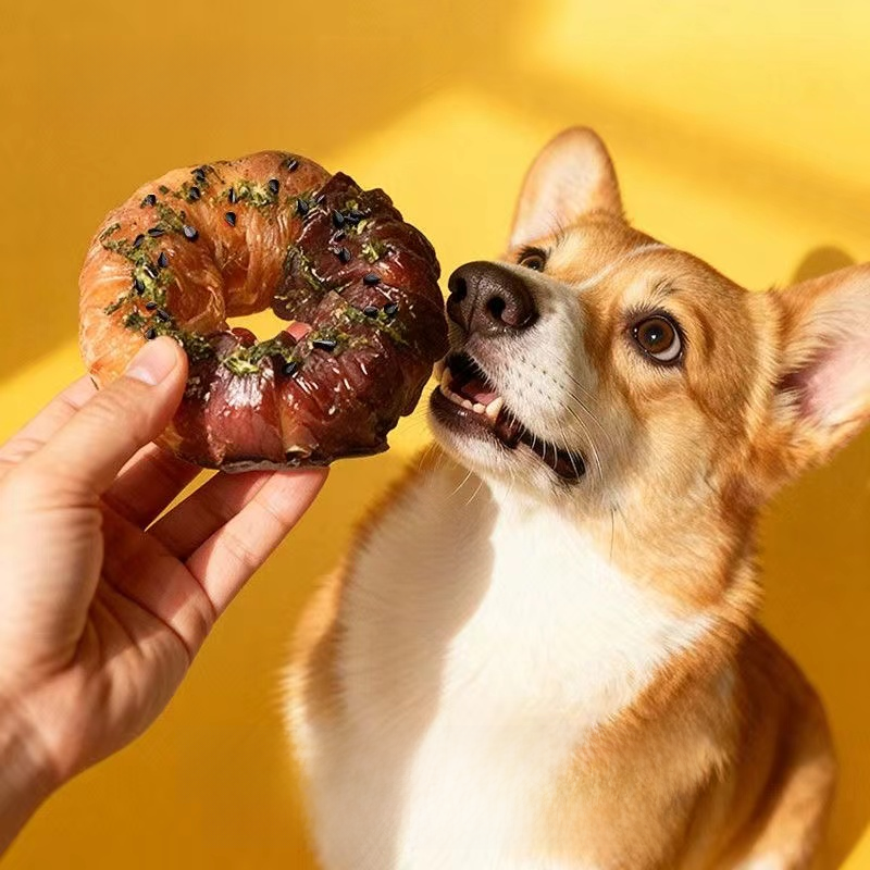 DogToys